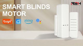 RSH Smart Blinds Motor MC08 Tuya WiFi Wireless Remote Control Compatible with Alexa Google Home [upl. by Assej]