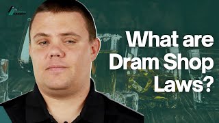 What are Dram Shop Laws [upl. by Skrap]