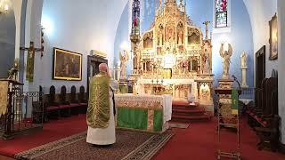 Our Lady of Czestochowa Sunday Mass  July 14 2024 [upl. by Alaunnoif]