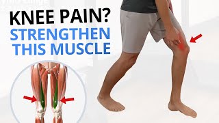 4 Quadriceps VMO Strengthening Exercises for Painful Knees [upl. by Berrie]