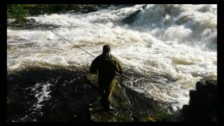 How salmon is caught  Visit Norway Salmon fishing at åheim river Norway august 2016 [upl. by Audrit315]