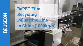 Counterrotating Twin Screw Extruder BOPET Film Recycling Pelletizing Line in China  USEON [upl. by Hara542]