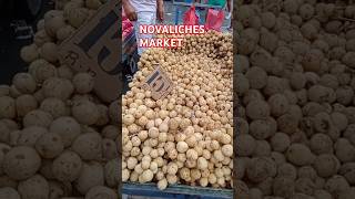 NOVALICHES MARKET [upl. by Asiat191]