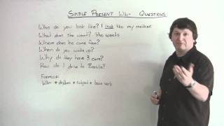 English Grammar  Present Simple  WH QUESTIONS [upl. by Airal352]