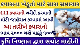 Kapas na bhav  16062024  કપાસના ભાવ2024  Information about cotton crop price  Commodity Trend [upl. by Adnilab883]