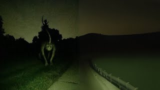 unsettling images turned into ai video pt 1 [upl. by Nonahs572]