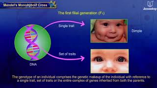 Heredity and Variation  Science and Technology  Grade 9  Jeevandeep [upl. by Akkeber]