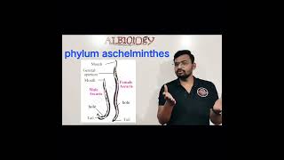 phylum Aschelminthes  Animal classification  viral short  Avinash sir [upl. by Neraj393]