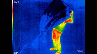 Low Tech Method to Defeat a Bolometer FLIRThermal Imager [upl. by Nekciv]