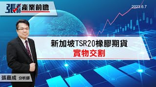 ⭐新加坡TSR20橡膠期貨實物交割｜張老師產業前瞻🔭 12 [upl. by Izaak534]