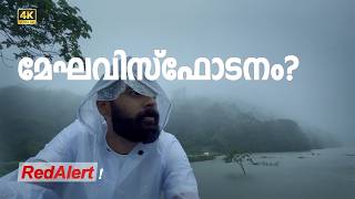 Best Resort in vagamon  vagamon best places in vagamon  മഴയെക്കാൾ ഭീകരം മഞ്ഞ് rawlife [upl. by Akinohs]