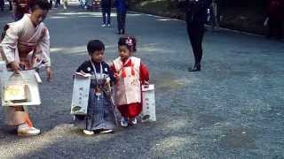 Japanese kids dressed in traditional kimonos  very cute [upl. by Andi]