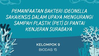 Pemanfaatan Ideonella Sakaiensis dalam Upaya Mengurangi Sampah Plastik di Pantai Kenjeran Surabaya [upl. by Hadden]