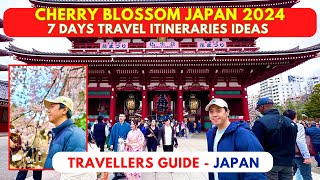 Japan Cherry Blossom Travel Itineraries Ideas 2024 [upl. by Ayekel]