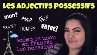 adjetivos posesivos en frances  ProfOriZulu [upl. by Bocoj]