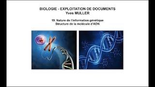 19 Nature de l’information génétique – Structure de la molécule d’ADN [upl. by Ecurb584]