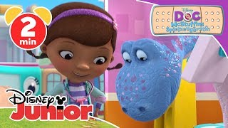 Die Hamsterjagd  Doc McStuffins  Disney Junior Kurzgeschichten [upl. by Anahcar]