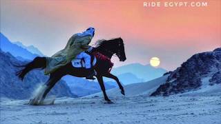 Horse Riding Holidays Egypt  Luxor amp Makadi Bay [upl. by Airretnahs]