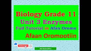 Biology Grade 11 Unit 3 Enzymes Full Tutorial in Afan Oromo [upl. by Albemarle]