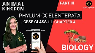 COELENTERATA CTENOPHORA amp PLATYHELMINTHES  Animal Kingdom  Class 11 Biology Chapter 4  Part 3 [upl. by Estrin]