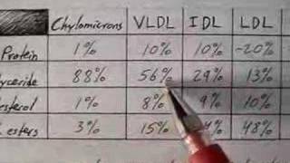 Lipoprotein Physiology Overview 14 [upl. by Analli]