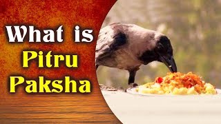 Pitru Paksha  Significance Of Pitru Paksha  पितृ पक्ष का महत्व  What is Pitru Paksha [upl. by Sabba306]