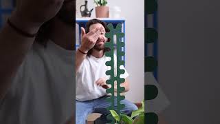 How to fix a monstera stem plants monstera houseplants [upl. by Worrell]