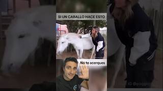 Si un caballo hace esto no te acerquessupervivencia curiosidades sabiasque sabias [upl. by Tucker644]