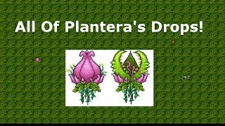 How to kill MASTER MODE Plantera in 10 seconds  Terraria 14 [upl. by Millwater]