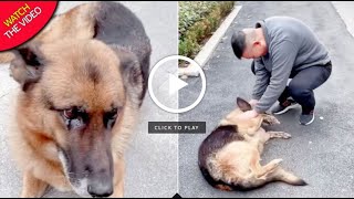 Former Police Dog Cries After Reuniting With Handler She Hasnt Seen For Years [upl. by Rivkah]