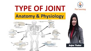 जोड़ों के प्रकार Type of Joint in Hindi  Synovial Fibrous Cartilaginous joints [upl. by Thamora]