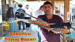 Sabunçu Toyuq Bazarı 8 Sentyabr 2024 [upl. by Gerk315]