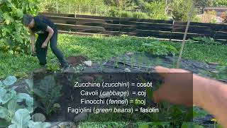 Learn Piedmontese Vocabulary Local Mountain Vegetables and Canals in Meana di Susa [upl. by Asirahc]