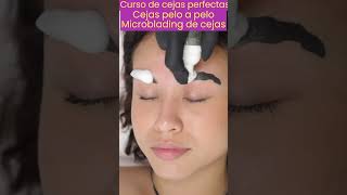 Cejas pelo a pelo tecnica de Microblading  Cejas perfectas shorts beauty [upl. by Kcirad]