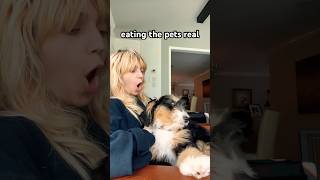 eats my dog cutely antizoo therian theriantropy furry dog pets scene [upl. by Bilat]