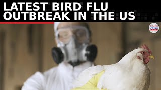 What To Know About The Latest Bird Flu Outbreak In US [upl. by Inait]