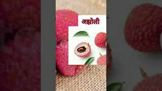 Best litchi variety in india [upl. by Donnell]