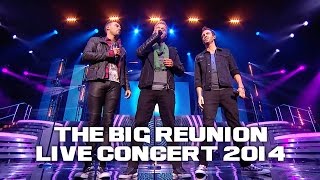 A1  EVERYTIME THE BIG REUNION LIVE CONCERT 2014 [upl. by Agnesse]