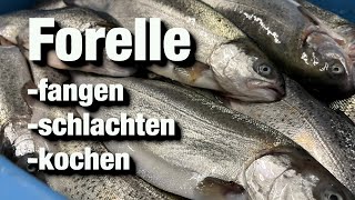 Forellen angeln  Fische Schlachten Kochen Steckerlfisch grillen [upl. by Attekal627]