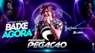 Pedrinho Pegação  CD Promocional Março 2016 [upl. by Ardnalak717]