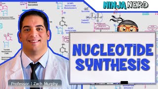 Metabolism  Nucleotide Synthesis  Purine amp Pyrimidine Synthesis [upl. by Ytsirk]