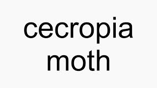 How to pronounce cecropia moth [upl. by Ahtivak235]