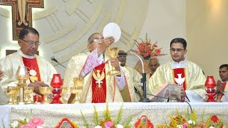 Feast of the Portiuncula 2016  Holy Mass [upl. by Torie]