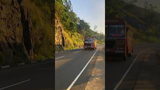 The CTB 😎☘️ bus teldeniya travel srilanka nature srilankatravel travelsrilanka shorts [upl. by Macegan]