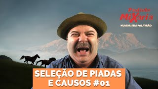 SELEÇÃO DE PIADAS E CAUSOS 01 [upl. by Garbe]