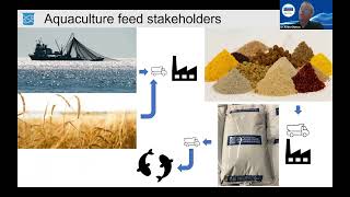 Latest developments in sustainable aquaculture feeds [upl. by Harshman]