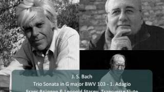 J S Bach  Trio Sonata for Flutes and Continuo in G Major BWV 1039  1 Adagio 14 [upl. by Cynar]