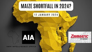 Maize shortfall in Africa  12 Jan 2024  African Agri Overview [upl. by Eerhs]