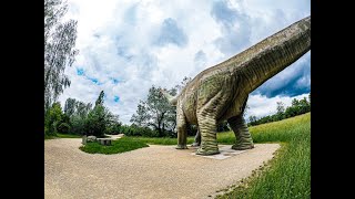 Bodenverdichtung durch Landwirtschaft die Dinosaurier gelten als Vorbild [upl. by Ocker]