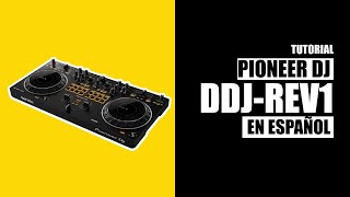 DDJREV1 Pioneer DJ  Tutorial En Español [upl. by Hurwit153]